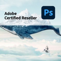 Photoshop voor bedrijven | Teams | Uitbreiden bestaand account | Engels | 100+ licenties