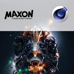 Basis Pro Cursus Maxon Cinema 4D | ma 2 juni 2025 | 3 - 4 personen | Klassikaal op uw eigen locatie