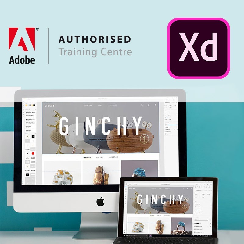 Cursus Adobe XD